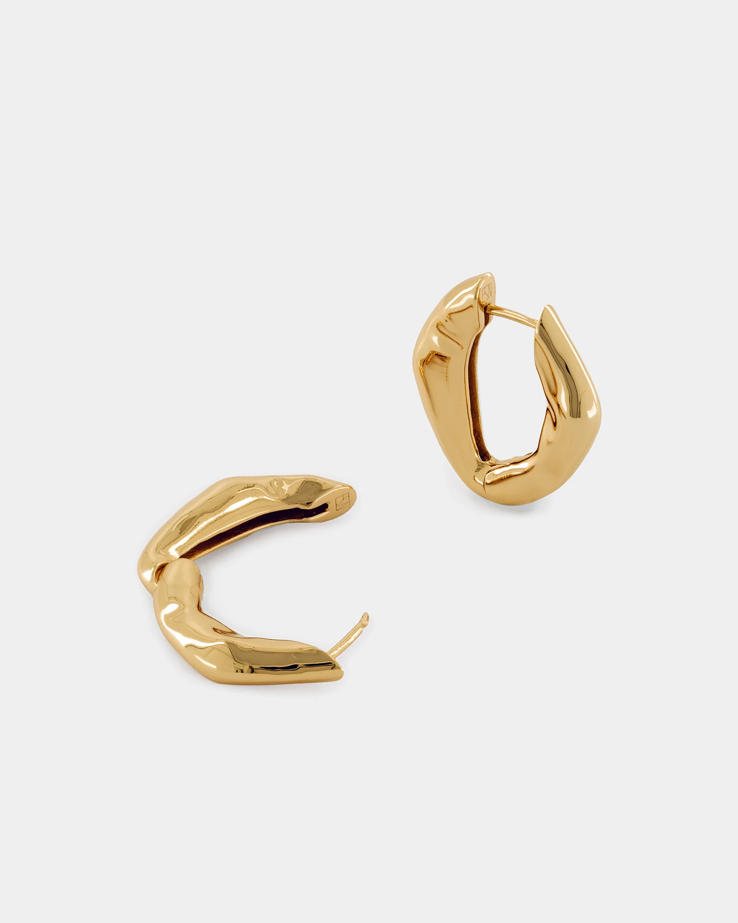 The Hoop Earrings - Gold - Image 4